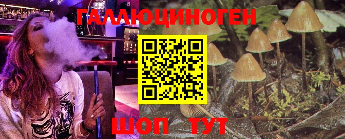 Галлюциногенные грибы ЛСД Камышин