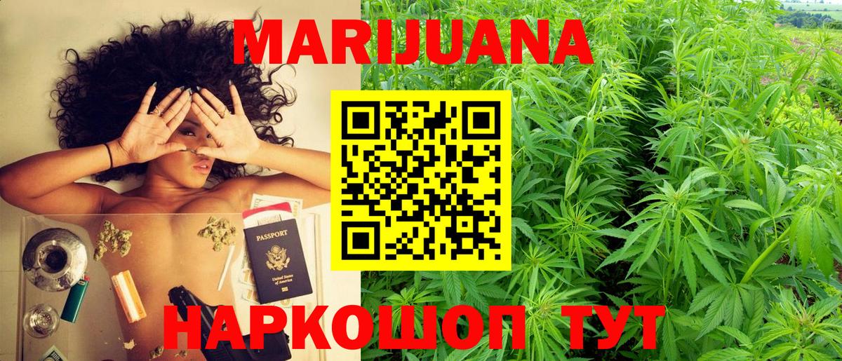Марихуана SATIVA & INDICA  Вход с VPN  Камышин  Конопля план  Марихуана AK-47  Каннабис сатива 